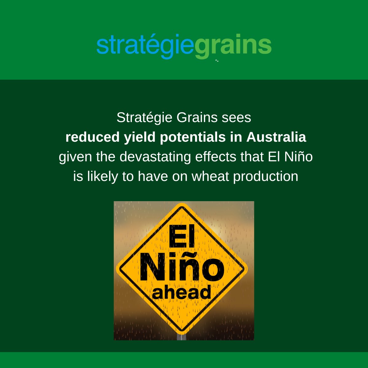 2023/24 wheat harvest outlooks ‘diminishing week by week’

 ☀️ Climate is the to driver of that downward trend in production forecast, as observed Stratégie Grains in the latest world grains report, published on 15 June. Get in touch to learn more.