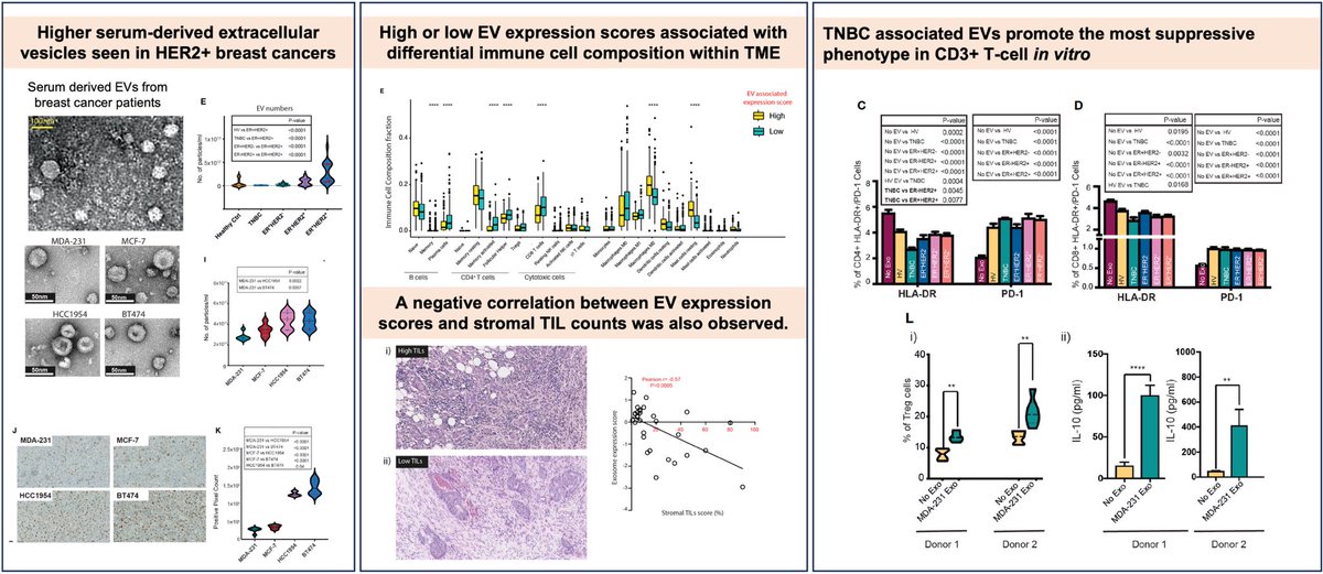 Don’t ignore the secretome! Delighted to share our paper hot of the press <a href="/FrontImmunol/">Frontiers - Immunology</a> on EV’s contributing to immune escape mechanisms in breast cancer patients! <a href="/SheebaIrshad/">Sheeba Irshad</a>