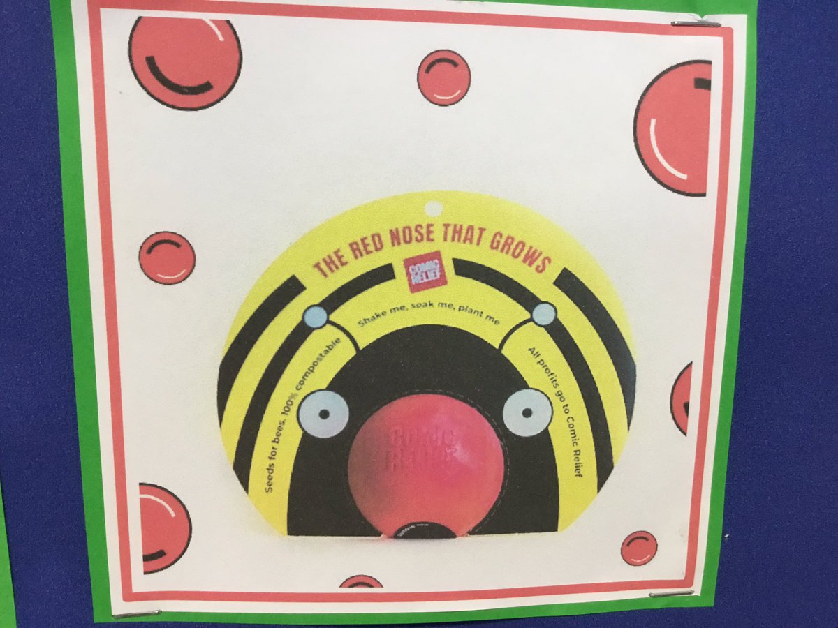 NurseryOPS's tweet image. Remember the Nose that Grows?! Well it did grow! Look at the beautiful flowers! #thenosethatgrows #opsscience