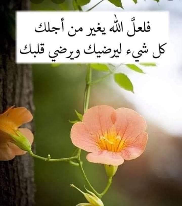 سيدنا يعقوب من كتر ما دعي الناس قالوا عليه مجنون لأنهم كانوا متأكدين إن يوسف مات ومستحيل يرجع سجد وهو بيبكي وبيقول في السجود
يارب أما ترحم ضعفي أما ترحم شيبتي أما ترحم كبر سني أما ترحم ذلتي أما ترحم فقري فسمع منادي بيقول
يا يعقوب وعزتي وجلالي لو كان يوسف ميتا لأحييته لك 👇🏼