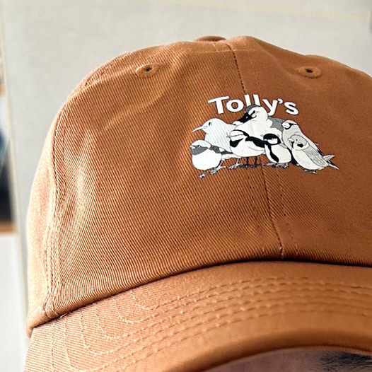 父の日にトリーズを描いた帽子をプレゼントしました。身近な６トリーズです。野鳥を好きになったのは、父親が撮る可愛い野鳥写真がきっかけで、とても感謝です！ https://t.co/jCqEqzN1qS