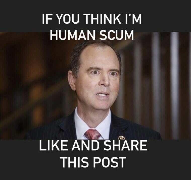 Next step for this human scum? Expulsion from Congress. Arrest. Prosecution. Conviction. Prison. Throw away the key.