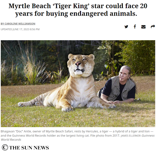 #TigerKing star Doc Antle faces up to 20 years in prison after being found guilty in #Virginia  of four counts of buying #endangeredanimals. His sentencing will take place on September 14th. Good job, Virginia!