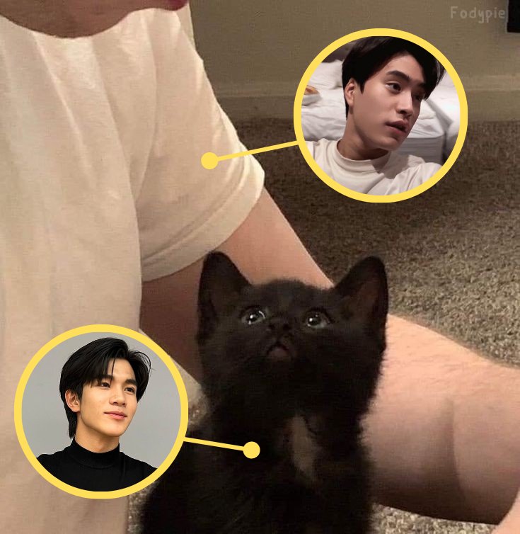 hygys20's tweet photo. แมวดำเลี้ยงง่ายสุดๆ🐈‍⬛ https://t.co/zjLQDfApO1