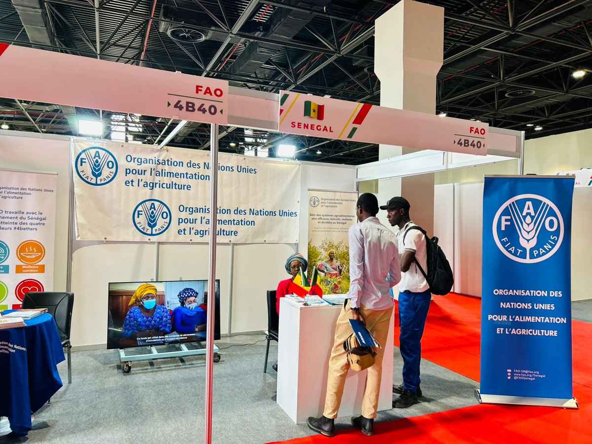 FAOSenegal's tweet photo. #HappeningNow
@FAOSenegal est au grand forum international #SENEFOOD, #SENAGRO🥕🍆🥔🐟
Venez échanger avec nous sur les systèmes alimentaires et la souveraineté alimentaire
📍Diamniadio-#Dakar
🗓️2⃣2⃣-2⃣4⃣ juin https://t.co/o6zTZ95tOe