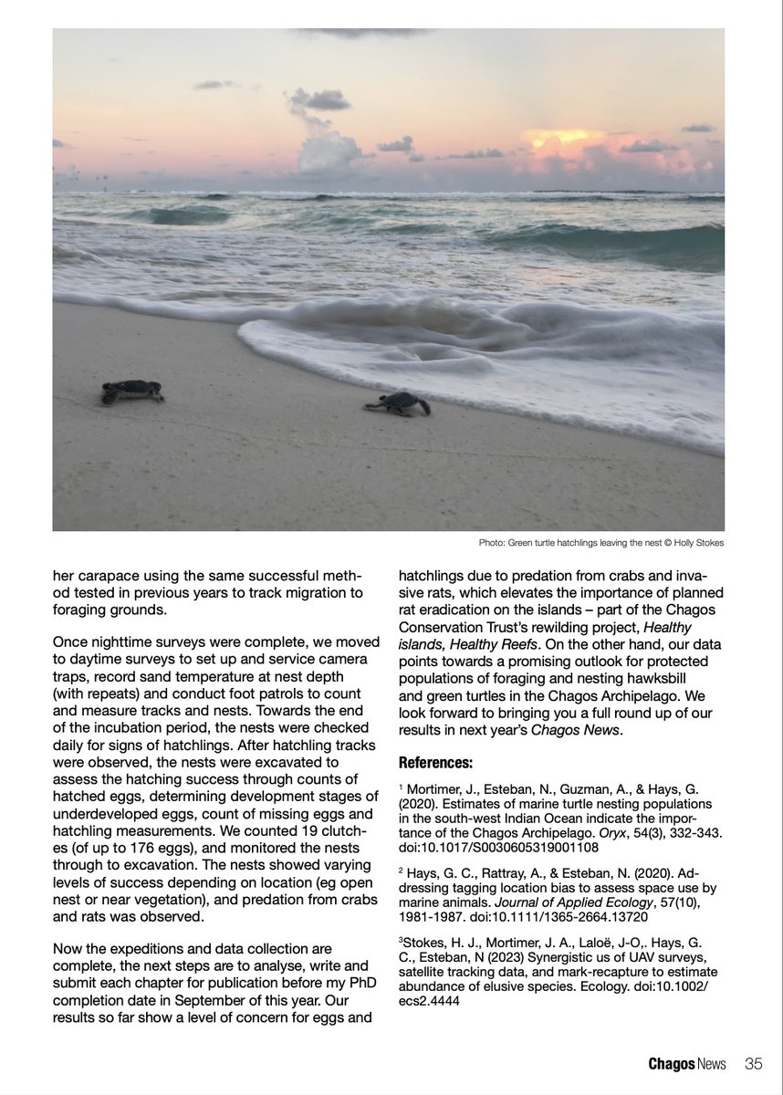 #CCT🐢 SPECIES OF THE MONTH In June, we're shining a spotlight on the sea turtles found in the #Chagos (and on our logo!)🌊 Read this #seaturtle ecology article by Swansea Uni. PhD student @hollystokes94 in this year's #ChagosNews (and the whole issue)⬇️ chagos-trust.org/.../documents/…