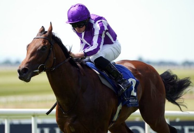 🏇🏼 Tommy's Tips tweet media