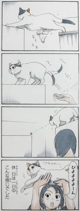 『特選拾い猫のモチャ』14