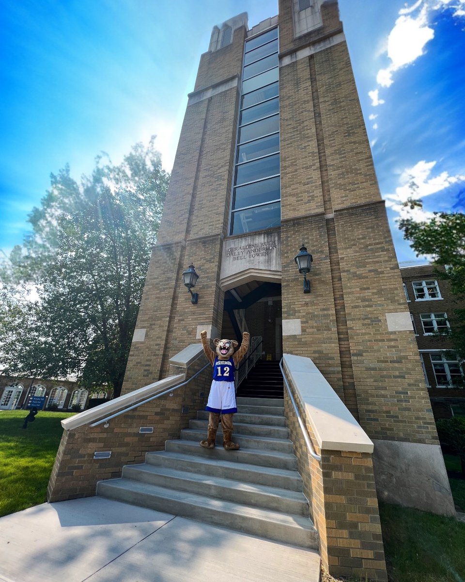 MisericordiaU's tweet photo. Welcome to campus, Cougars! 🐾💙💛 Today marks the start of orientation and Archie is excited to see all of our students #ClassOf2027 #MUOrientation https://t.co/c1dyL3zTMv