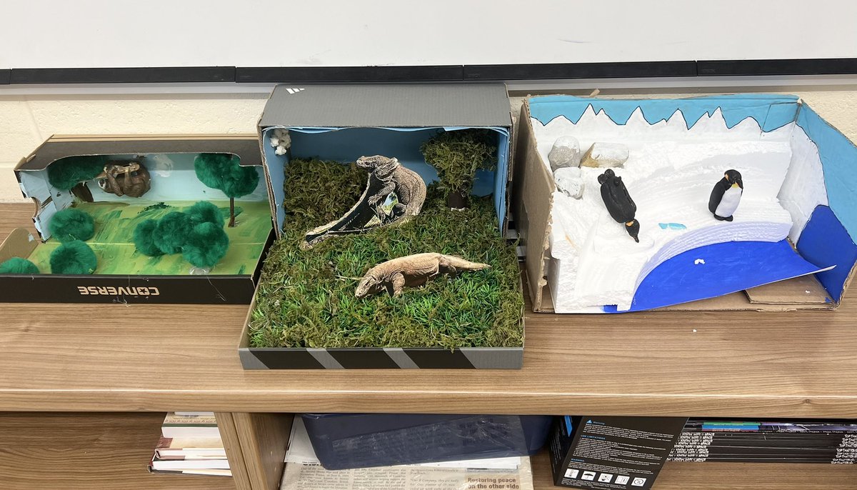My students’ phenomenal Biodiversity 3D Art Displays <a href="/stanne_school/">St. Anne School</a> #stannestyle