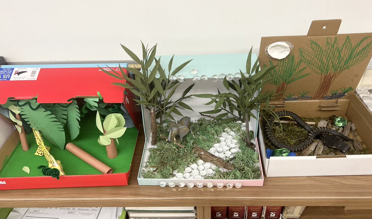 MrsMartinStAnne's tweet photo. My students’ phenomenal Biodiversity 3D Art Displays @stanne_school #stannestyle https://t.co/wXT2sMCnmd