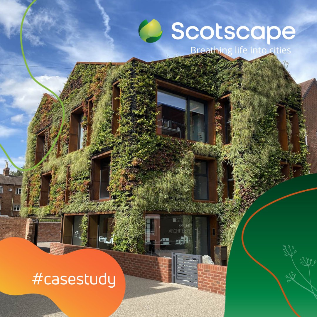 Scotscape Group (@scotscapewalls) on Twitter photo .<a href="/StudioSpicer/">Studio Spicer Ltd</a> Architects are an incredibly passionate #urbangreening & #sustainablearchitecture practice, so we were thrilled when they asked us to create visually stunning exterior #livingwalls at their head office in Stratford upon Avon. Find out more: bit.ly/3plFjUX .<a href="/StudioSpicer/">Studio Spicer Ltd</a> Architects are an incredibly passionate #urbangreening & #sustainablearchitecture practice, so we were thrilled when they asked us to create visually stunning exterior #livingwalls at their head office in Stratford upon Avon. Find out more: bit.ly/3plFjUX