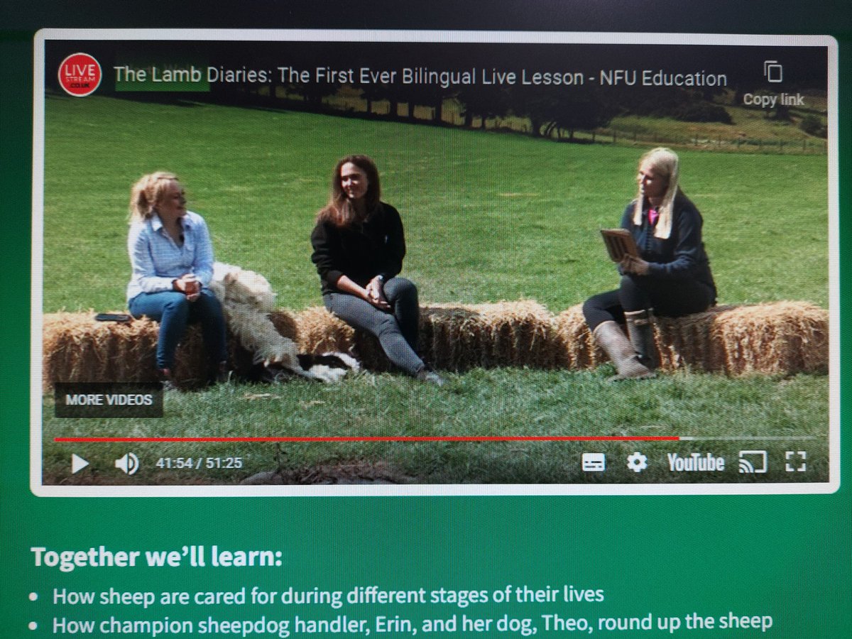 That's our live lessons done. Thank you to everyone who registered to join and use our curriculum-aligned resources. Well done to our presenters @SionedDavies98, @FflurMcnaught, Jess & Charl Wern Vets and @RhodriBrynllech. Watch again livestream.co.uk/the-lamb-diari… #welshfarmingweek