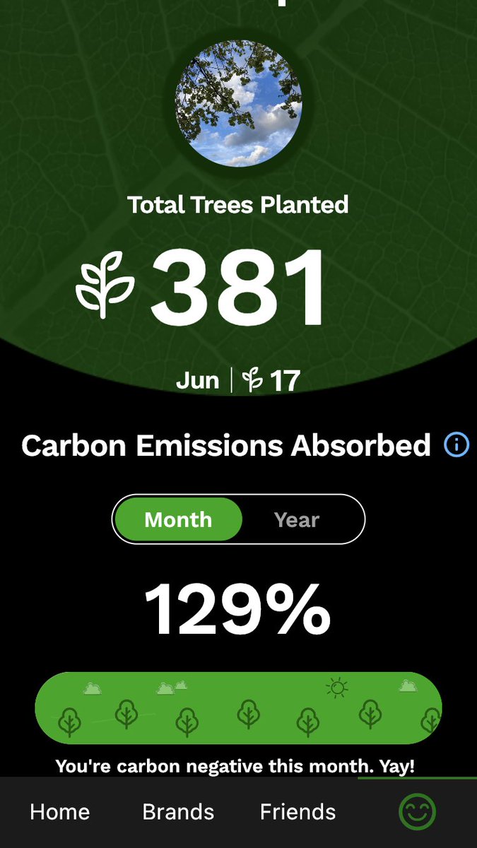 Today to celebrate #WorldRainforestDay2023 I planted a tree in #Brazil for free via @treeapp 

It is so easy to use & takes less than 2 minutes

#PlantTreesForFree
#AmazonRainforest
#Rainforest