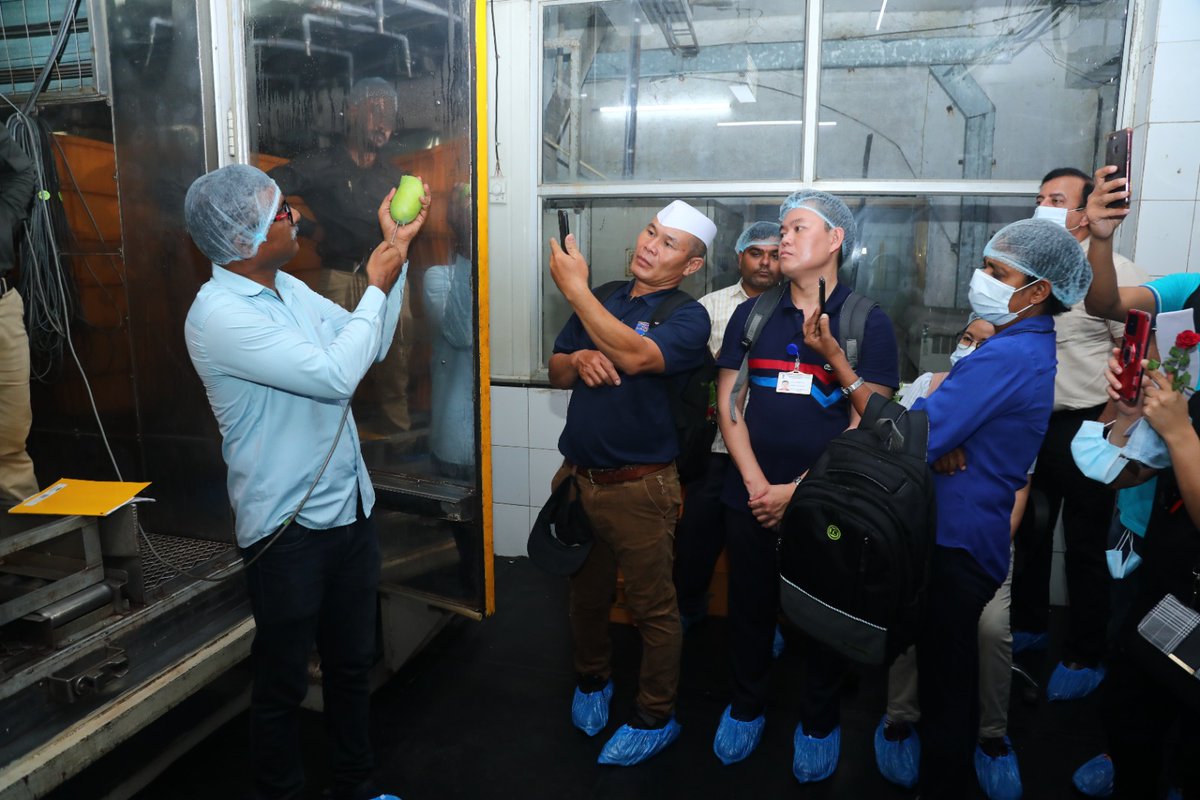 AgriGoI's tweet photo. The participants witnessed a hands-on demonstration of phytosanitary treatments like hot water immersion, vapour heat treatment, and irradiation on the fourth day of the #APPPCWorkshop on the System Approach for Management of #fruitflies on #Mango, held in Mumbai today.
#agrigoi https://t.co/1oyBiEf0WH