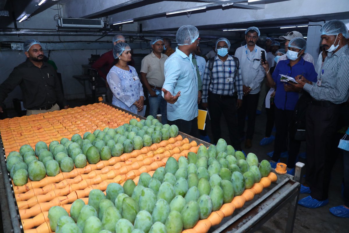 AgriGoI's tweet photo. The participants witnessed a hands-on demonstration of phytosanitary treatments like hot water immersion, vapour heat treatment, and irradiation on the fourth day of the #APPPCWorkshop on the System Approach for Management of #fruitflies on #Mango, held in Mumbai today.
#agrigoi https://t.co/1oyBiEf0WH