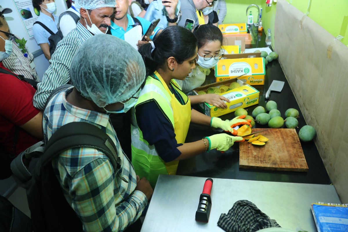AgriGoI's tweet photo. The participants witnessed a hands-on demonstration of phytosanitary treatments like hot water immersion, vapour heat treatment, and irradiation on the fourth day of the #APPPCWorkshop on the System Approach for Management of #fruitflies on #Mango, held in Mumbai today.
#agrigoi https://t.co/1oyBiEf0WH