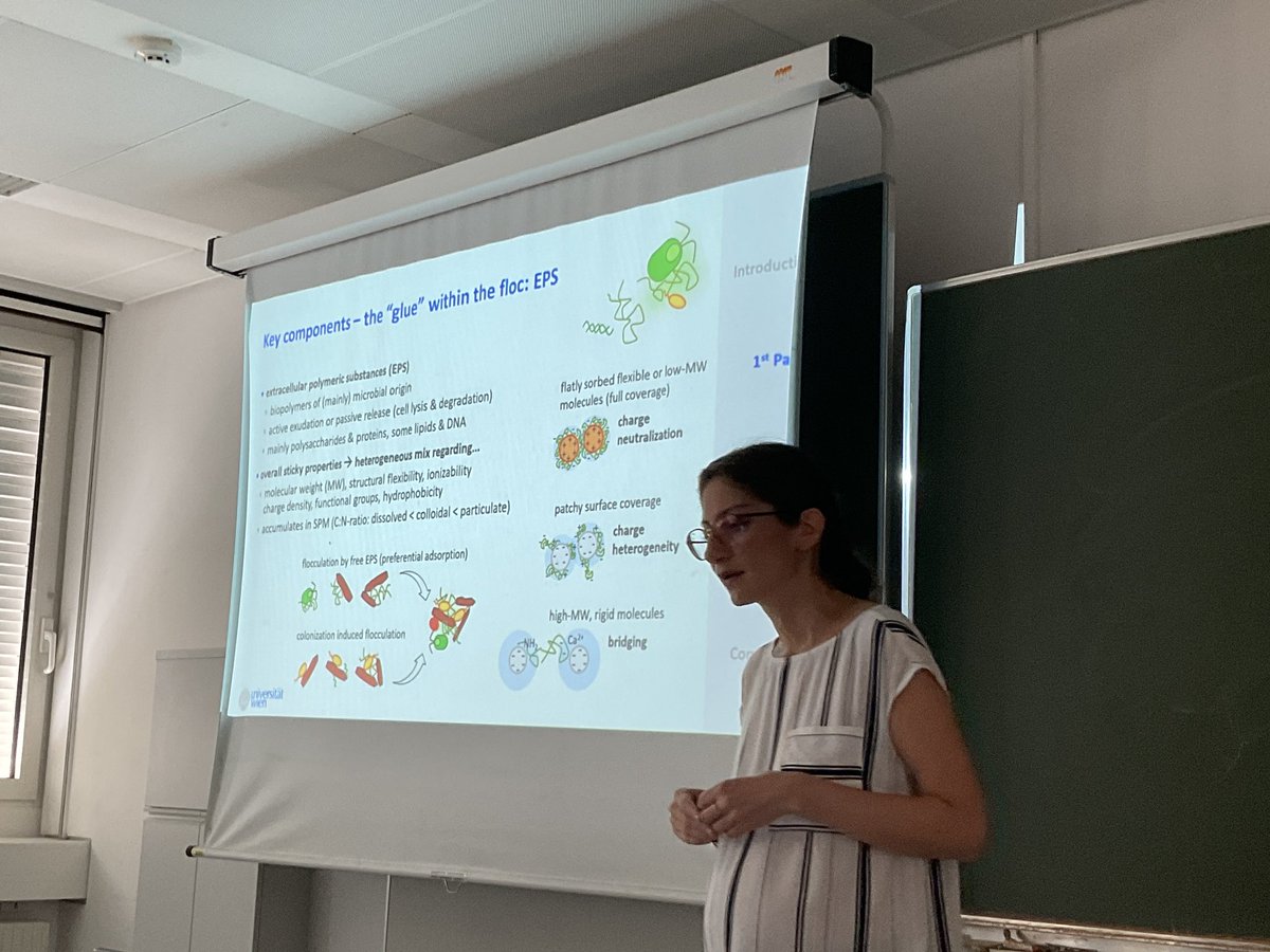 Hofmann_Lab's tweet image. Great PhD Defense from Helene Walch today at #EDGE. Complex #flocs in rivers and #heteroaggregation are key environmental factors in marine and river systems. Well done Helene.