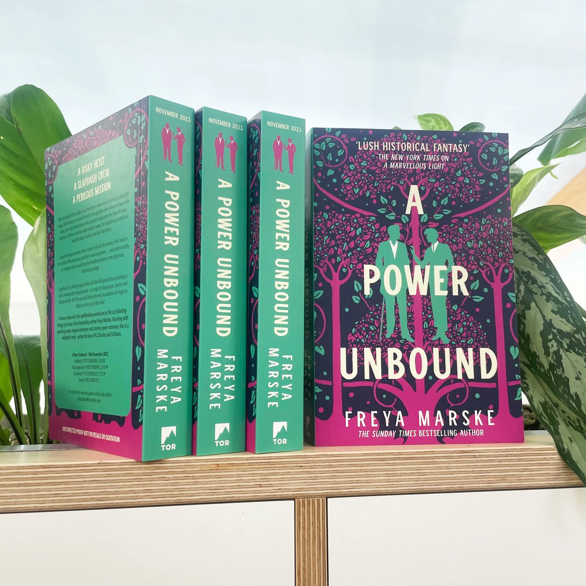 panmacmillan's tweet photo. Exciting news! Proofs for A Power Unbound by @freyamarske have finally landed in the office 😍 

This final book in The Last Binding trilogy is bursting with sparkling prose, magical adventure and steamy queer romance! Request now on NetGalley: https://t.co/hlrfDsTAma https://t.co/IqiU7s8JsD