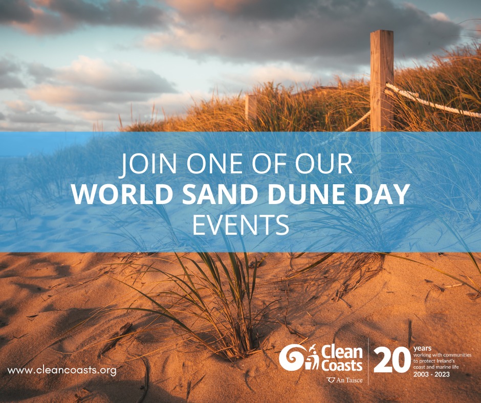 Clean Coasts tweet media