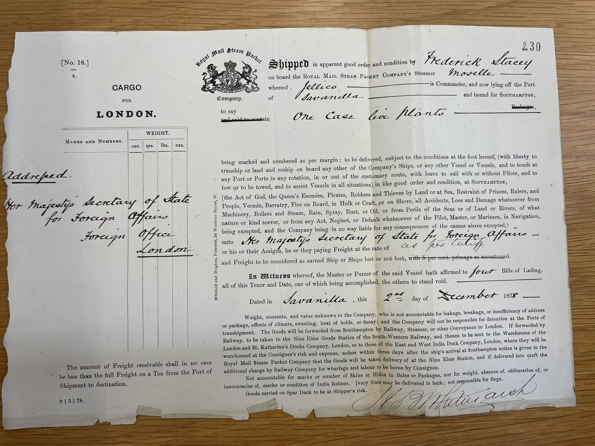 curibotta's tweet photo. Different British diplomats in Colombia put so much attention in the safe delivery of the #Arracacha to England. Consuls in Bogotá, Honda and Barranquilla finally safely shipped “one case live plants” in December 1878. https://t.co/XRPCC0WtbT