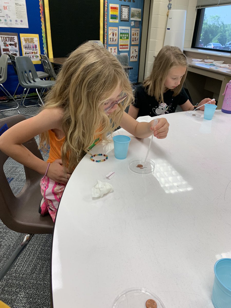 MrSheskeyReads's tweet photo. Our Summer Scientists π©βπ¬ @SdwView #SDWSummerLearning https://t.co/c9TsaaMrVB