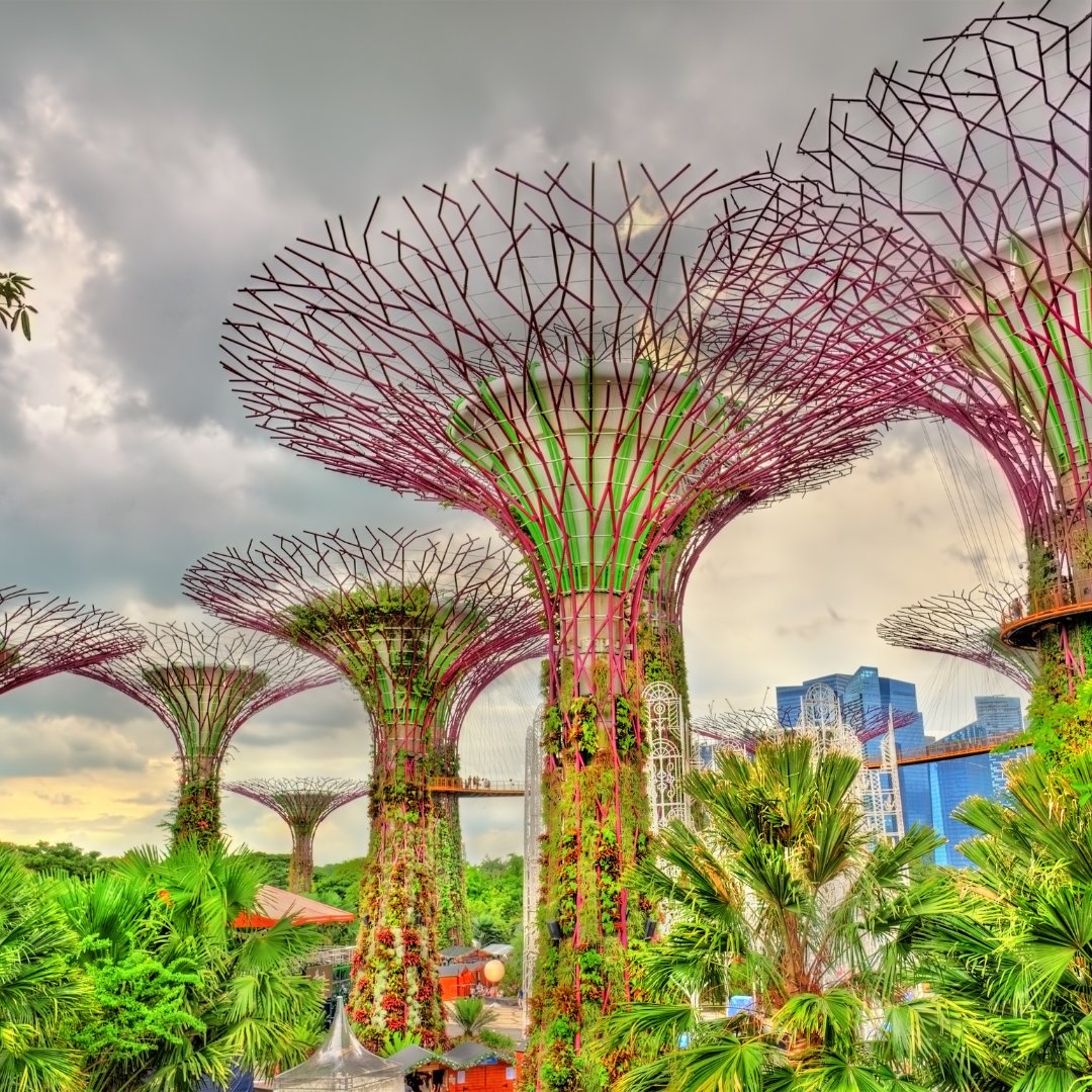 Butler Landscapes tweet media