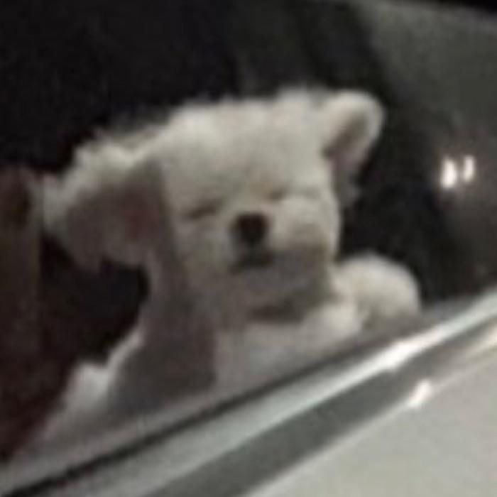 กุตอนไม่ได้ใส่แว่น :