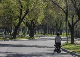 roxanamr23's tweet photo. Se sugiere realizar una gran campaña de reforestación , en el Centro Educativo , en la comunidad , en la casa de cada uno
🌿 *M. 28 de junio* Día Mundial del Árbol 🗺 Sembrar en la *región , caminos , riberas , carreteras , rotondas , parques , plazas … *🏘
#Reforestemos https://t.co/pEpeTUH9Hs