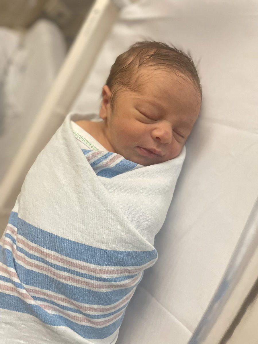 Jamilyn Hoehn tweet media