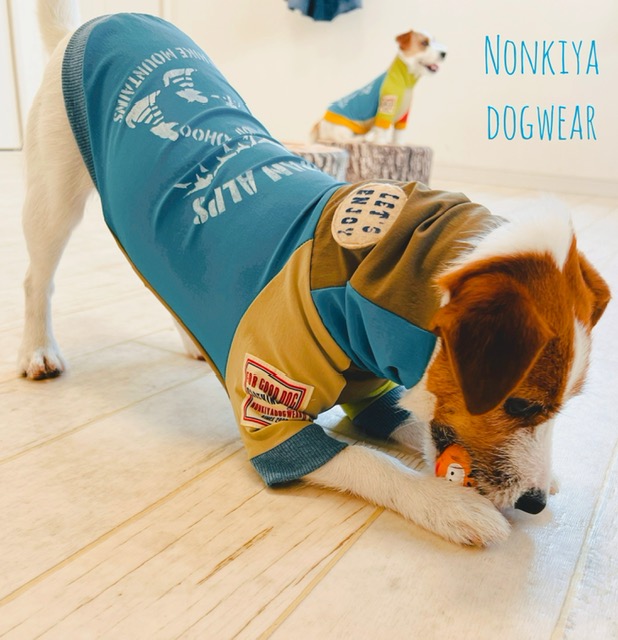 のんき屋じもん (@nonkiyajimon) / Posts / X