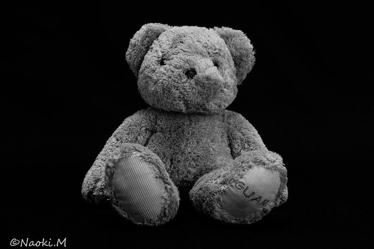 11_cats's tweet photo. 僕はクマ♪ クマ♪ クマ♪ クマぁ~♪
今宵もシンプルに基本練習📷
思いついたら練習するようにして
ずーーーっとになるけど
なかなか上手にならないねェ😅💦
#CsnonEOSR5
#CanonRF50mmF12Lusm
#2灯ライティング
#Practis https://t.co/Fcw5AzsMLh