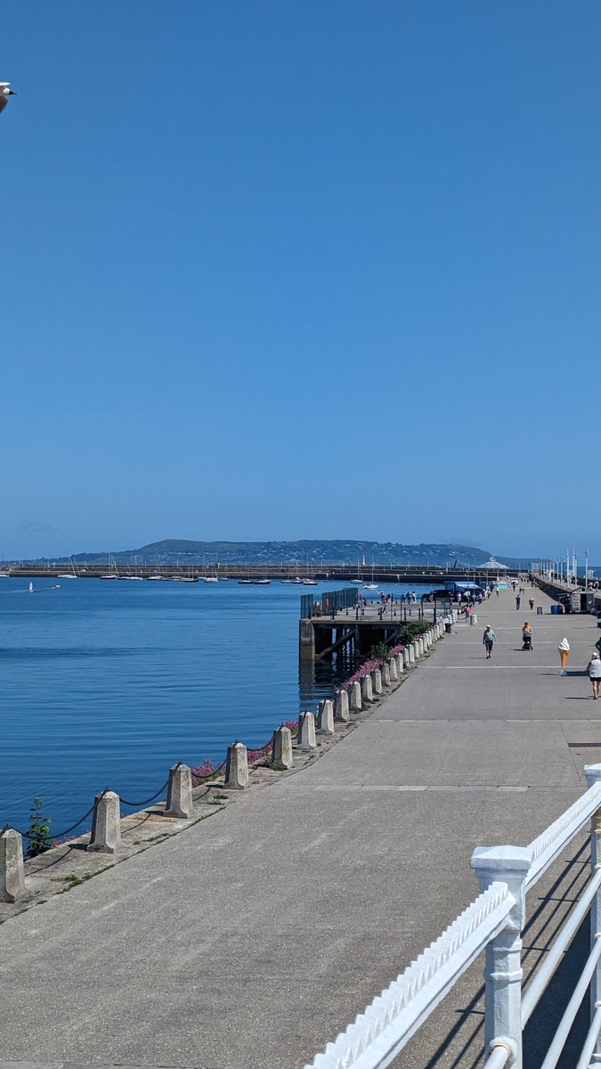 killianbyrne's tweet image. Scorcher.

#RunTime
#BeActive