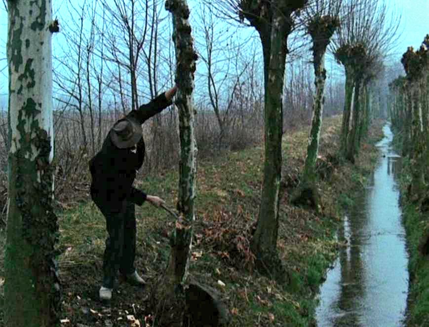 fraurolo121's tweet image. #Ciak🎬

L'albero degli zoccoli (1978)
Ermanno #Olmi /R.

"...E soprattutto cercate di volervi sempre bene, perché non c'è denaro al mondo che può pagare l'amore di due persone..."
Don Carlo

(Film che è un vero gioiello)