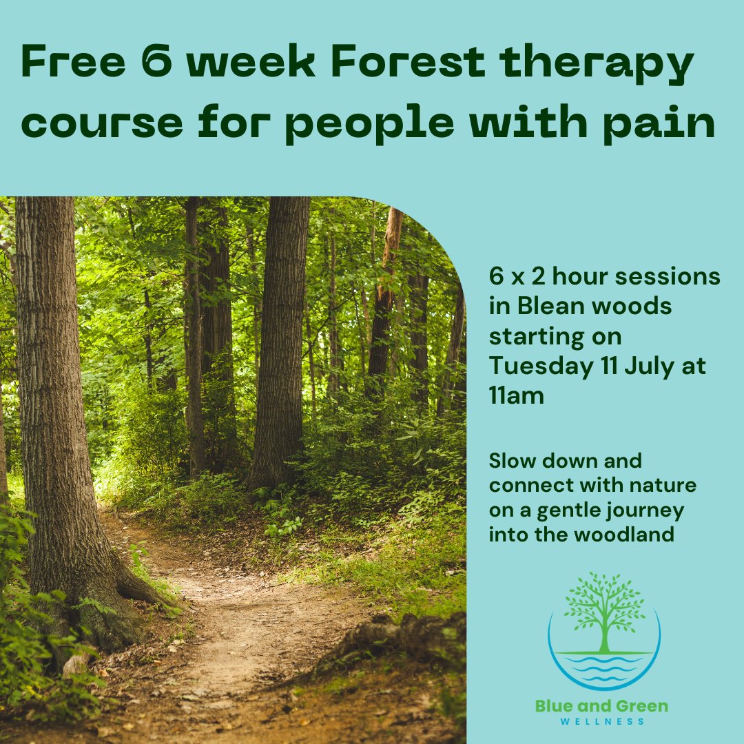 🌳Join Diarmuid (certified Forest Bathing practitioner) on a 6-week Forest Therapy course for people living with chronic pain. 

Contact Diarmuid for more information and to book onto this free course: diarmuid@blueandgreenwellness.com