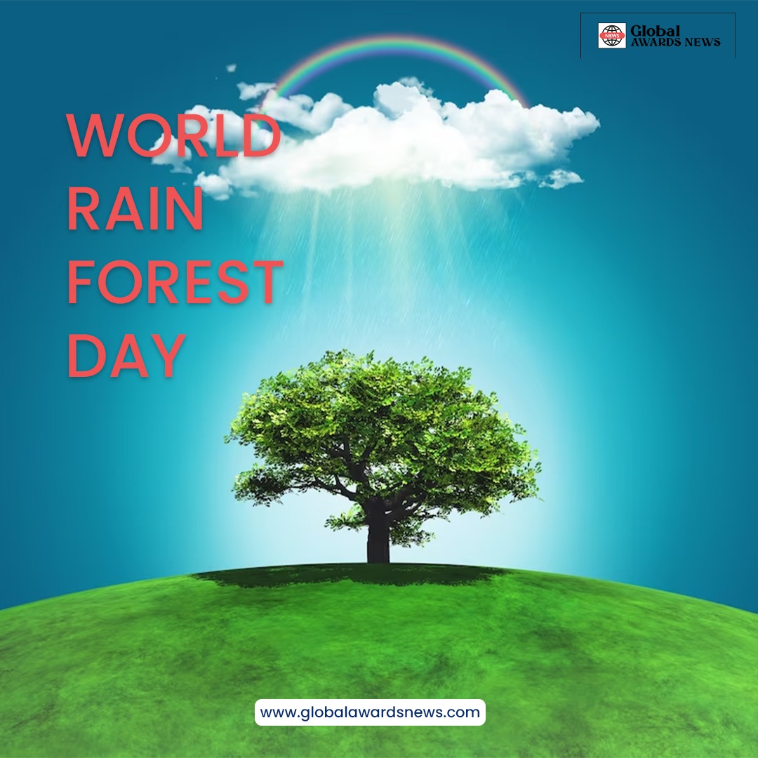 World rain forestday #election #election2016 #electionday #elections #selection #election2019 #theselection #summersunselection #presidentialelection #inaelectionobserversos #election2018
