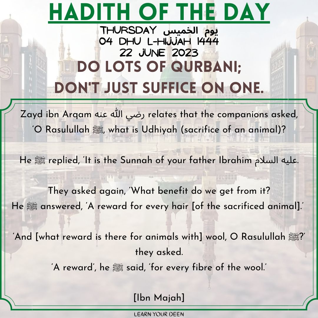 HADITH OF THE DAY
4 Dhu l-Hijjah 1444

#ProphetMuhammad ﷺ said,
'It (sacrificing an animal) is the sunnah of your father Ibrahim [AS] ... There is a reward for every hair [of the sacrificed animal] ... and for every fibre of the wool.'

[Ibn Majah]