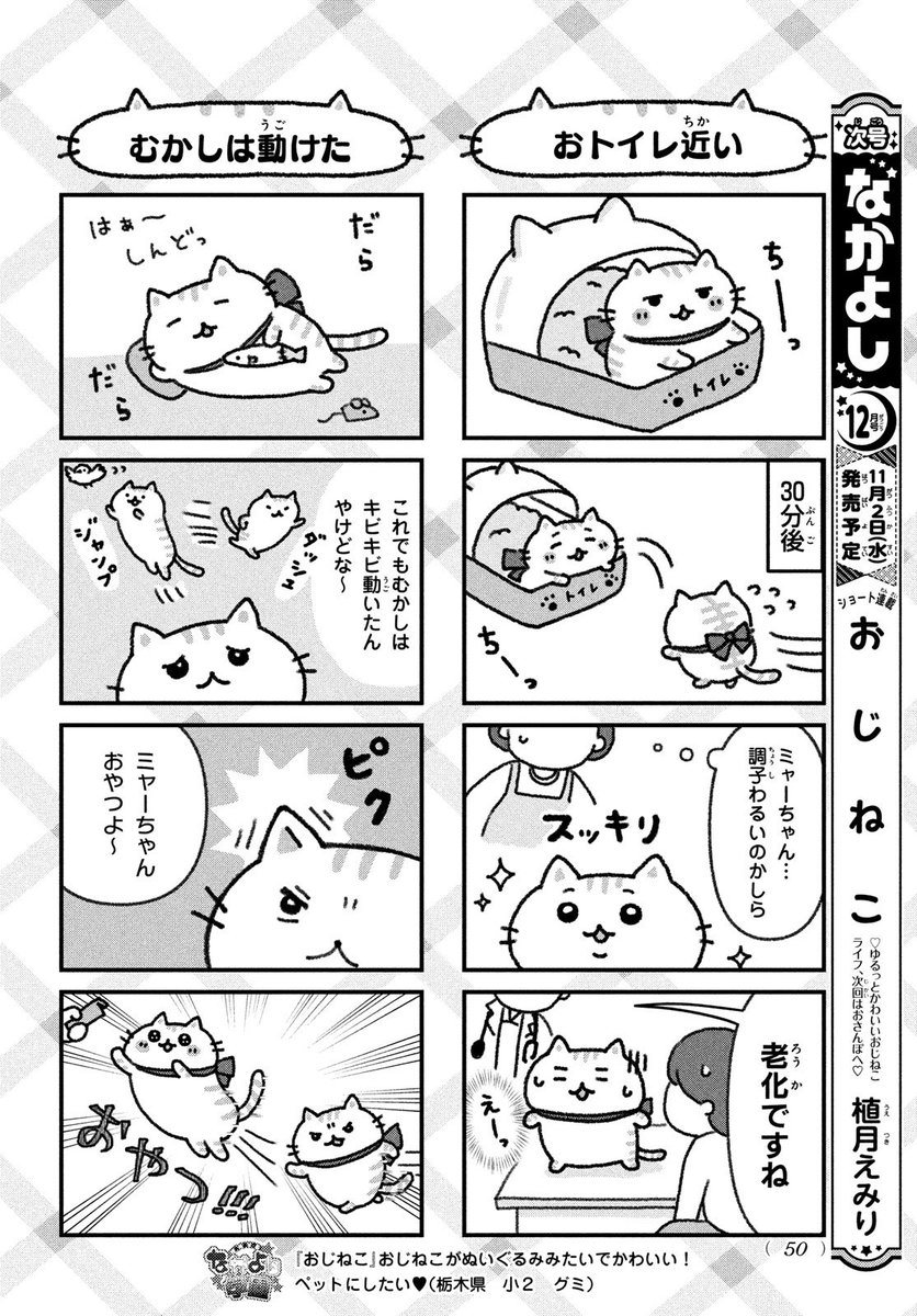 おじねこ1話（2/3） https://t.co/0fuS744KHV