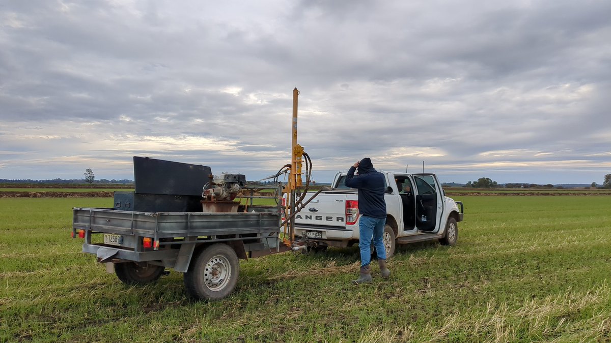 PorcileVirginia's tweet photo. #coolsoilsinitiative
On farm research
#deep N soil sampling #greenurea on #softwheat. https://t.co/PxmDE20UiI