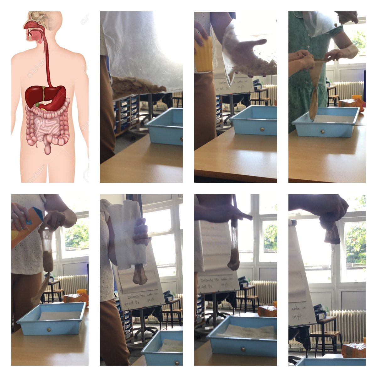 @WideyFox tweet media