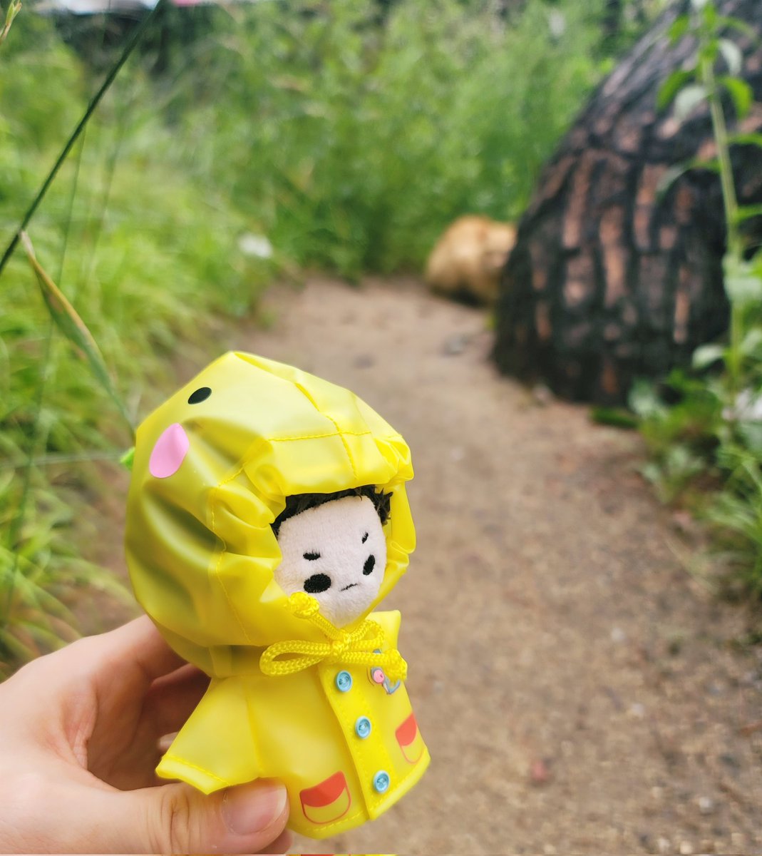 onsmh's tweet photo. 냥동이와 길냥이
냥이가 점점 멀어진다.. https://t.co/ampIj5CtPe