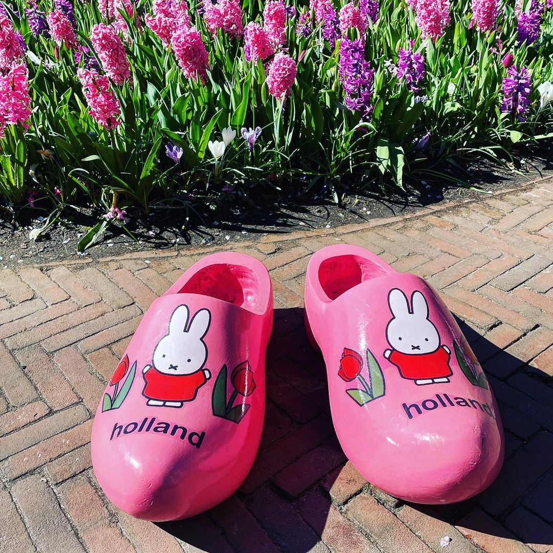 Miffy (Miffy_UK) / Twitter