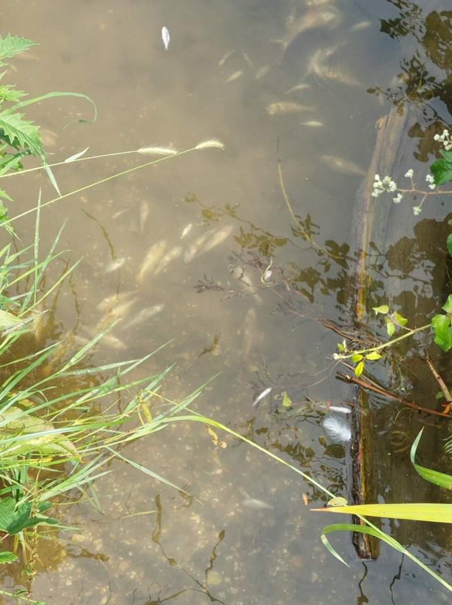 Dave Throup tweet media