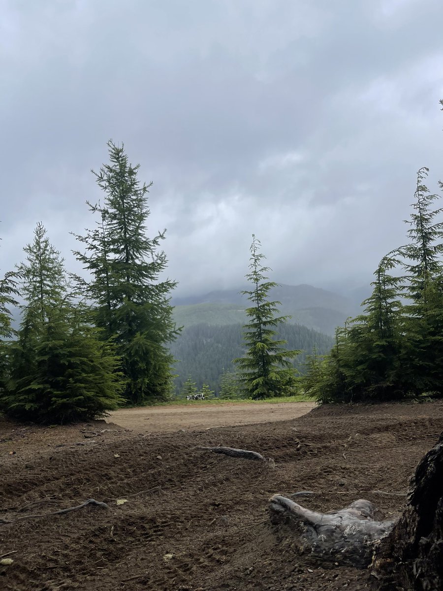 MidRdAdventure's tweet image. #sxs #utv #rzr #x #offroad #canam #polaris #utvlife #polarisrzr #canamx #atv #offroading #yamaha #turbo #rzrlife #sidebyside #sxslife #yxz #rzrturbo #glamis #maverickx #honda #mudding #r #utvracing #racing #utvunderground #dunes #sxsaddicts #utvaddicts #krx