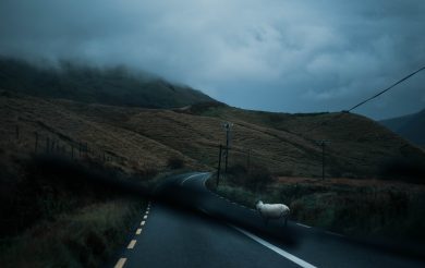 OBR_LitJournal's tweet photo. Issue 10 features three haunting &amp; arresting landscapes by @thenancywilde. Pictured below: "Road."

View them here: https://t.co/VFx81Satx3 👀🍊 https://t.co/M8w8PjHkTl
