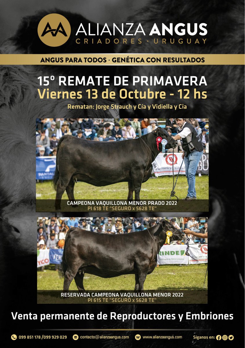 Alianza Angus (@alianzaangus) on Twitter photo 