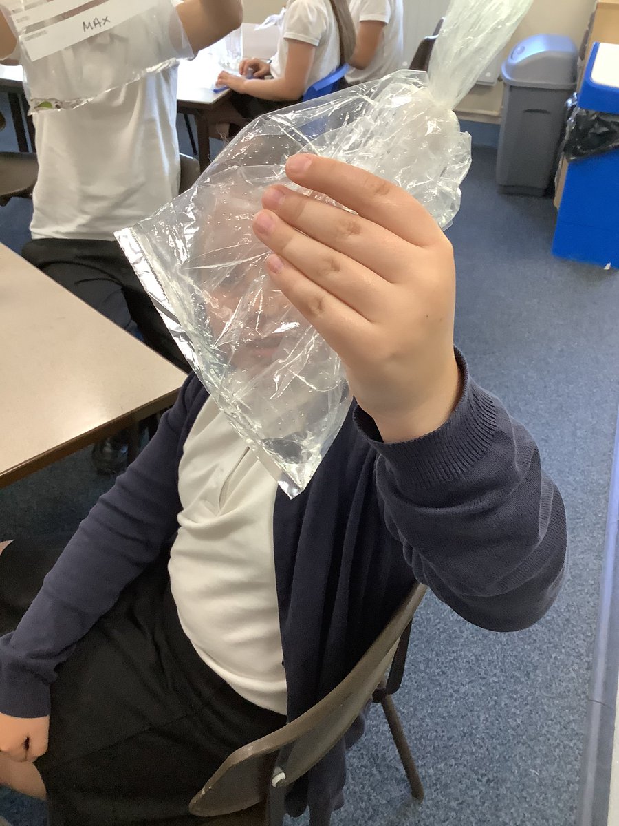 BandBschool's tweet photo. @BandBschool Team Foss were amazed at how much water they had harvested collectively to nurture their basil plants without turning on the tap. They re used materials that otherwise would have been thrown away. Well done Team. @eboractrust #bandbscience https://t.co/o9PLtg3WBF