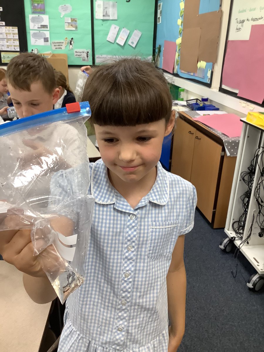 BandBschool's tweet photo. @BandBschool Team Foss were amazed at how much water they had harvested collectively to nurture their basil plants without turning on the tap. They re used materials that otherwise would have been thrown away. Well done Team. @eboractrust #bandbscience https://t.co/o9PLtg3WBF