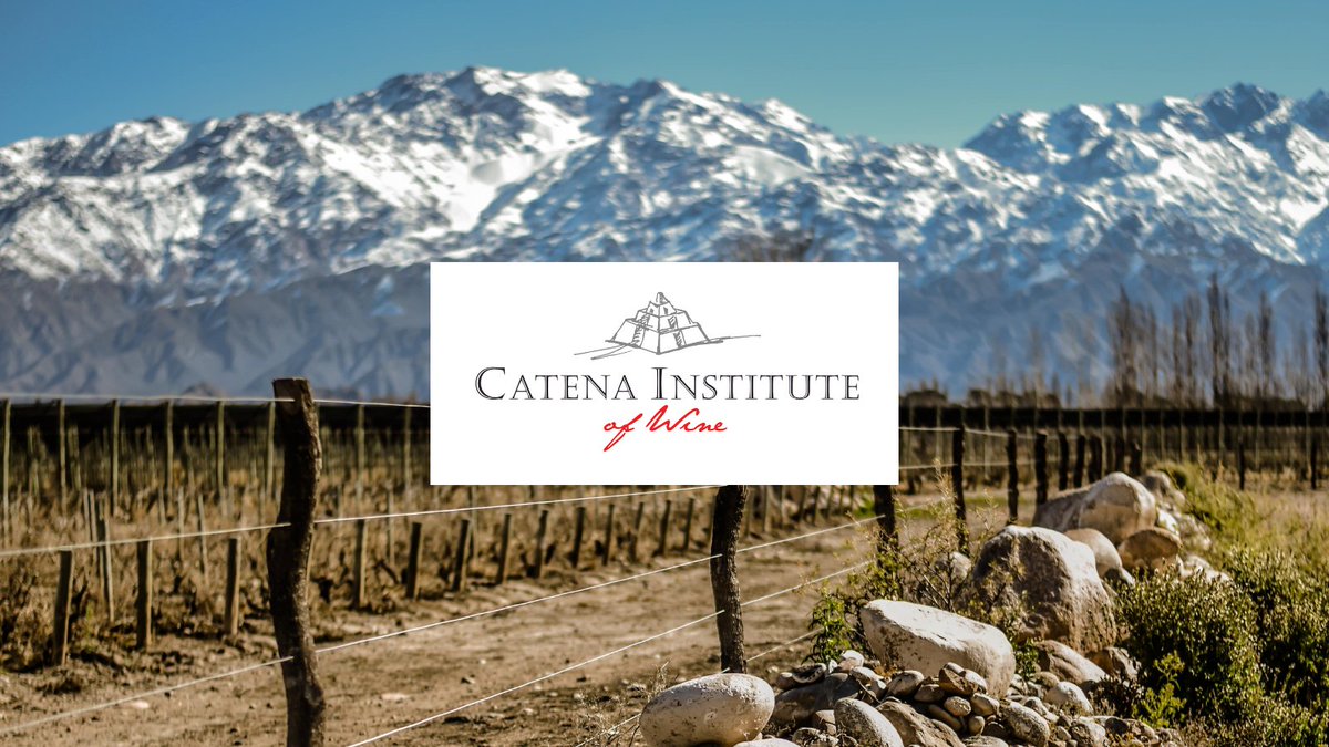 The Catena Institute of Wine has announced a new scholarship, awarded every two years to two students from Latin America to support their MW studies.

Applications will open in September 2023.

Find out more: bit.ly/3CKEf01

#mastersofwine <a href="/LauraCatena/">Laura Catena</a>