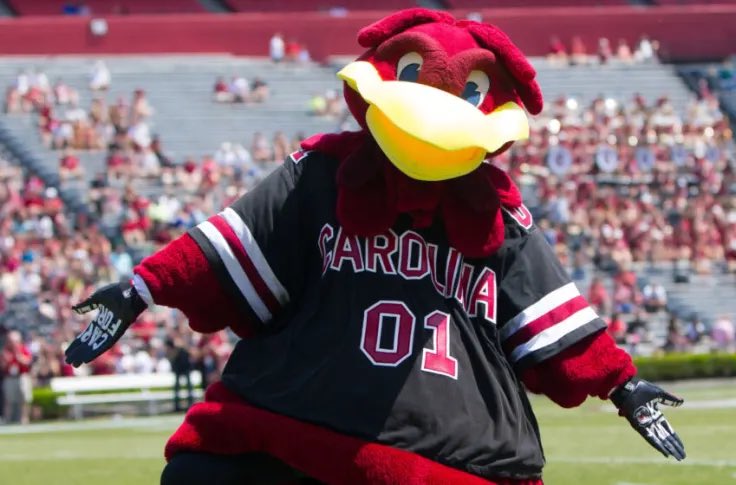 I will be in USC today!  <a href="/GamecockFB/">South Carolina Football</a> @sonneborn_mike @RecruitSabresFB